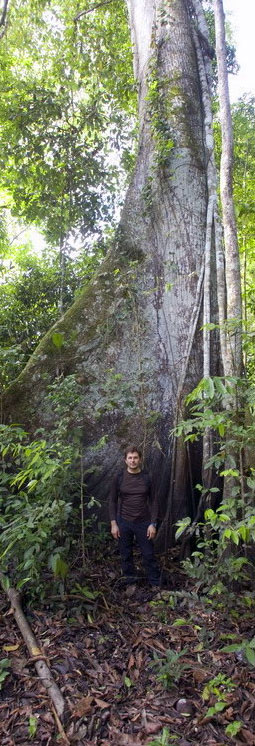 Adolfo Cordero at the National Park Pacaya-Samiria, Amazonian forest of Perú. June 2008.